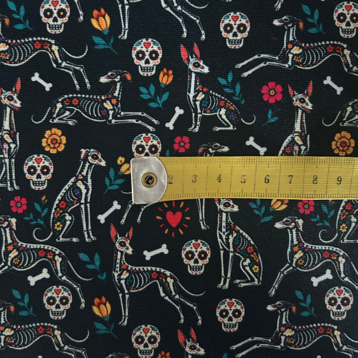 Collar Martingale Galtrina
