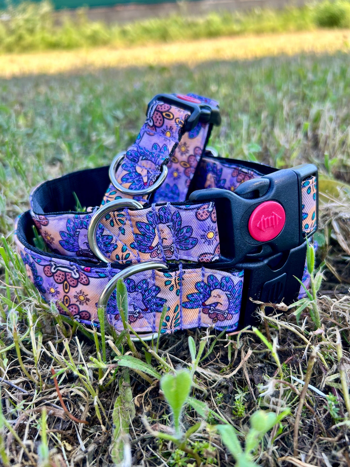 Collar Click Galguea