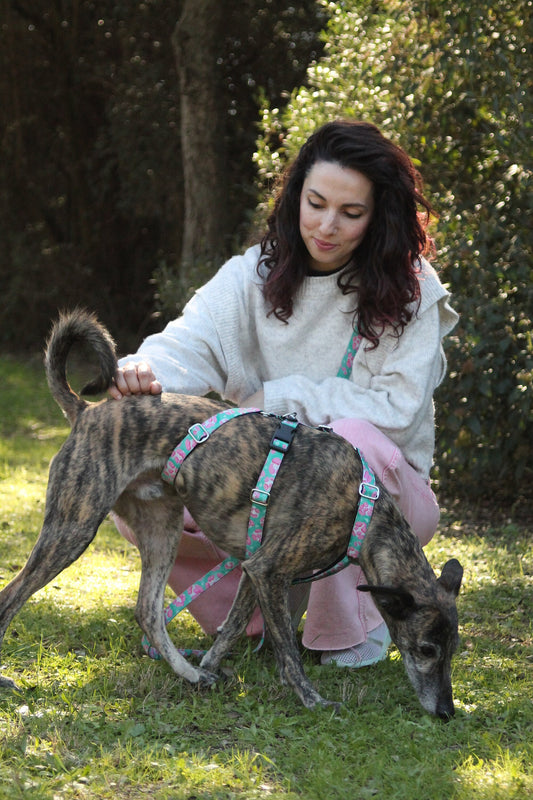 Arnés Antiescape Animal Pink
