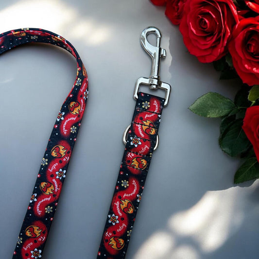 Correa Multiposición TEAP