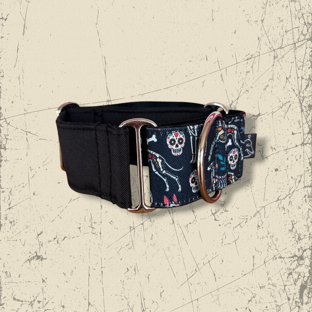Collar Martingale Negro + Galtrina