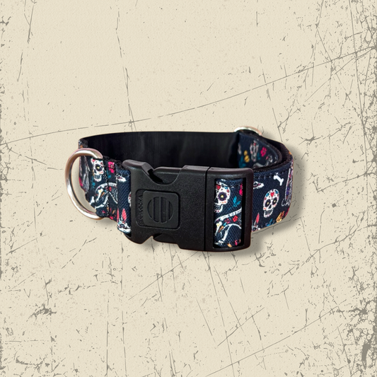 Collar Click Galtrina