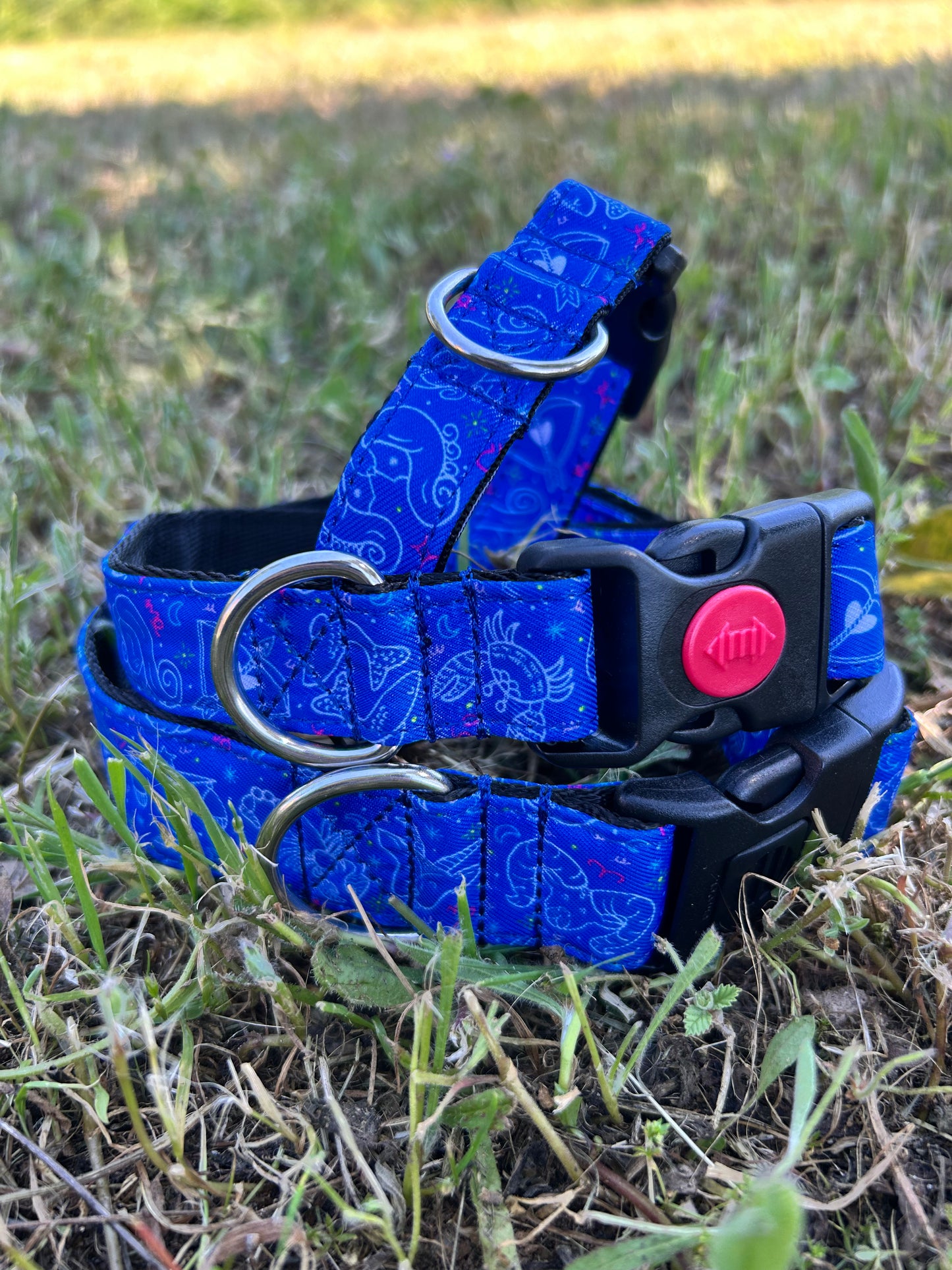 Collar Click Zodiac