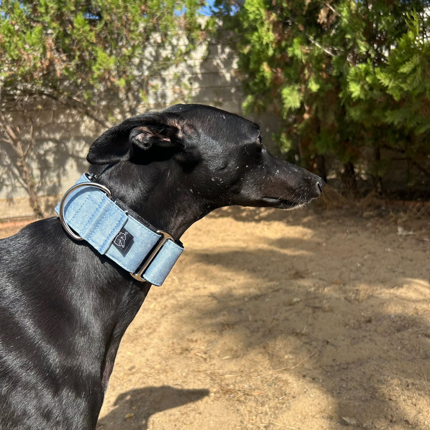 Collar Martingale Esencial Denim