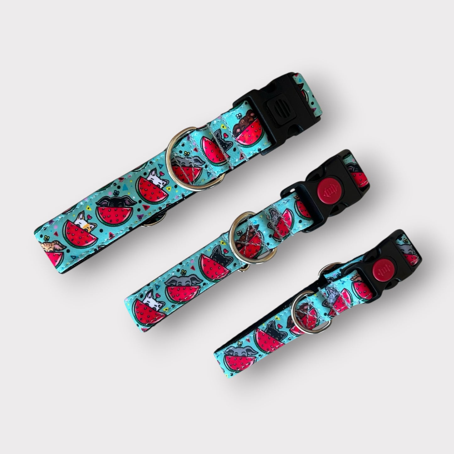 Collar Click Watermelon