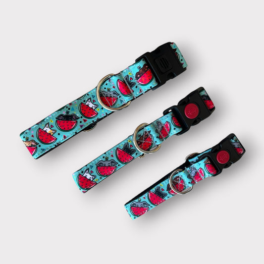 Collar Click Watermelon