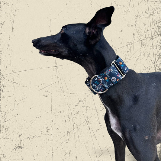 Collar Martingale Galtrina