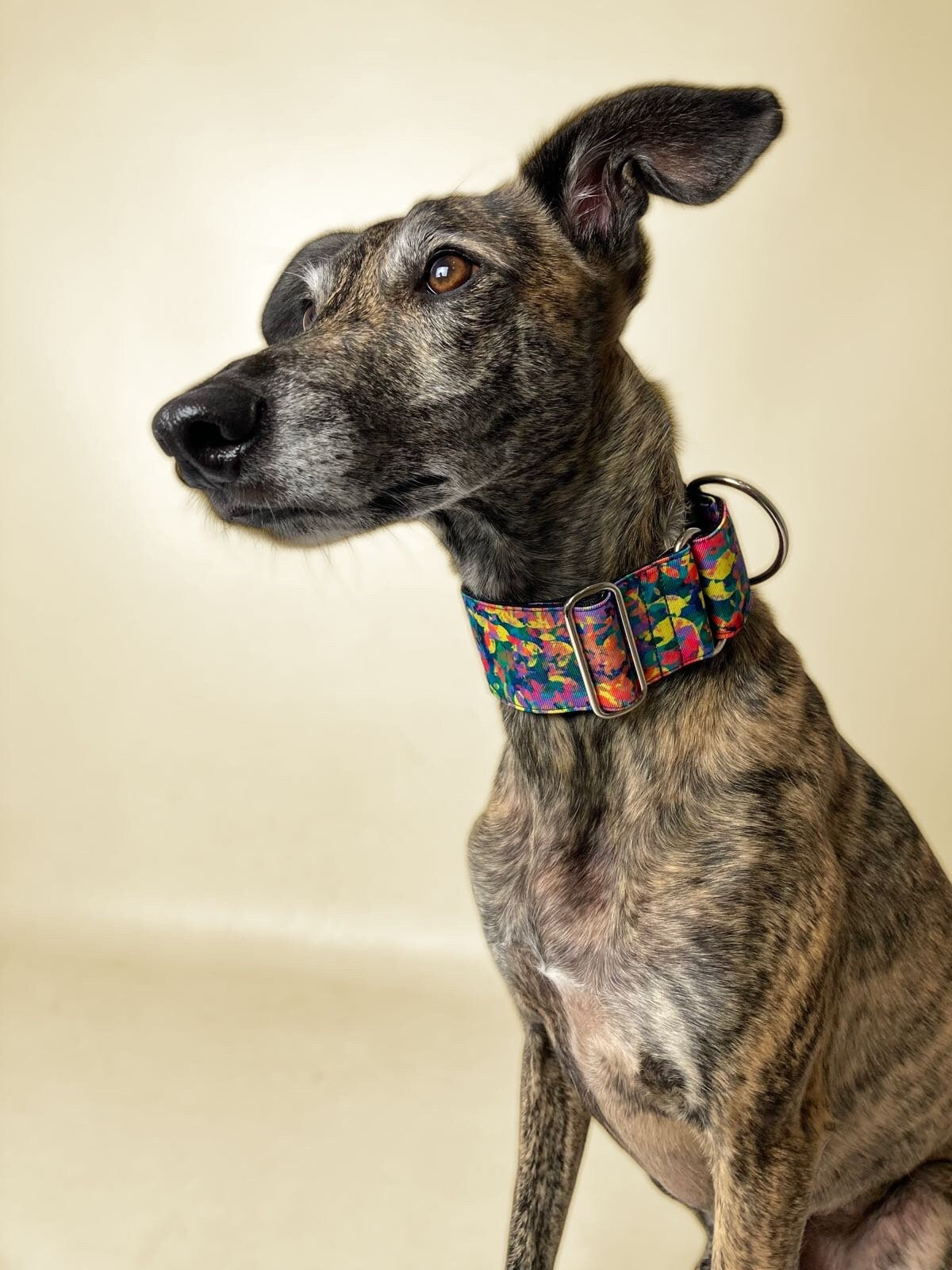 Collar Martingale Limbo