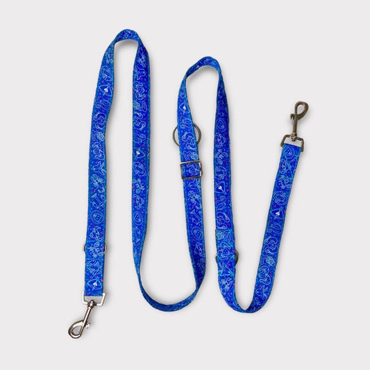 Correa Multiposición Zodiac