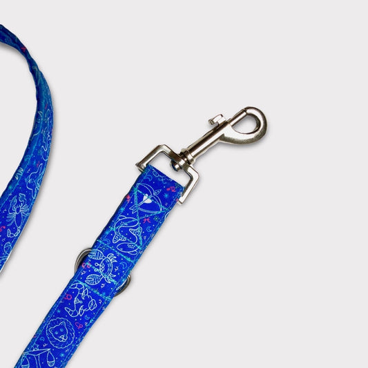 Correa Multiposición Zodiac