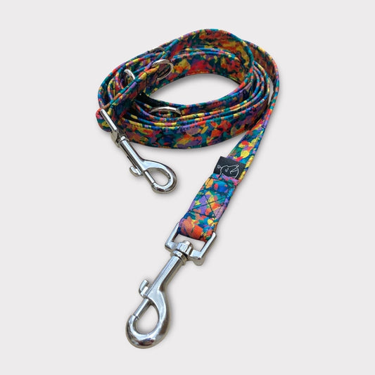 Correa Multiposición Limbo