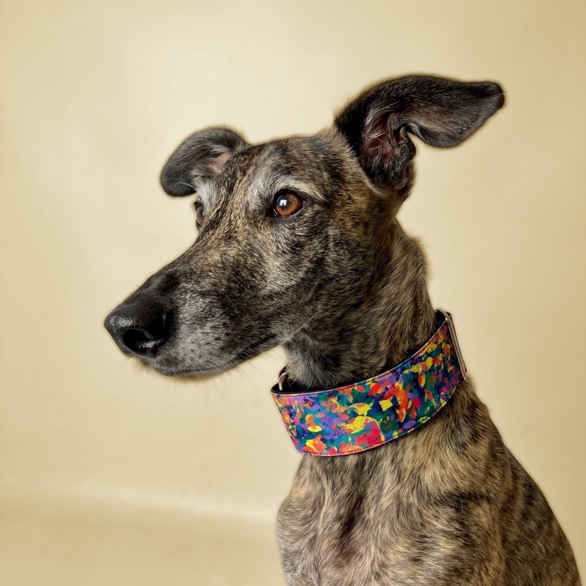 Collar Martingale Limbo