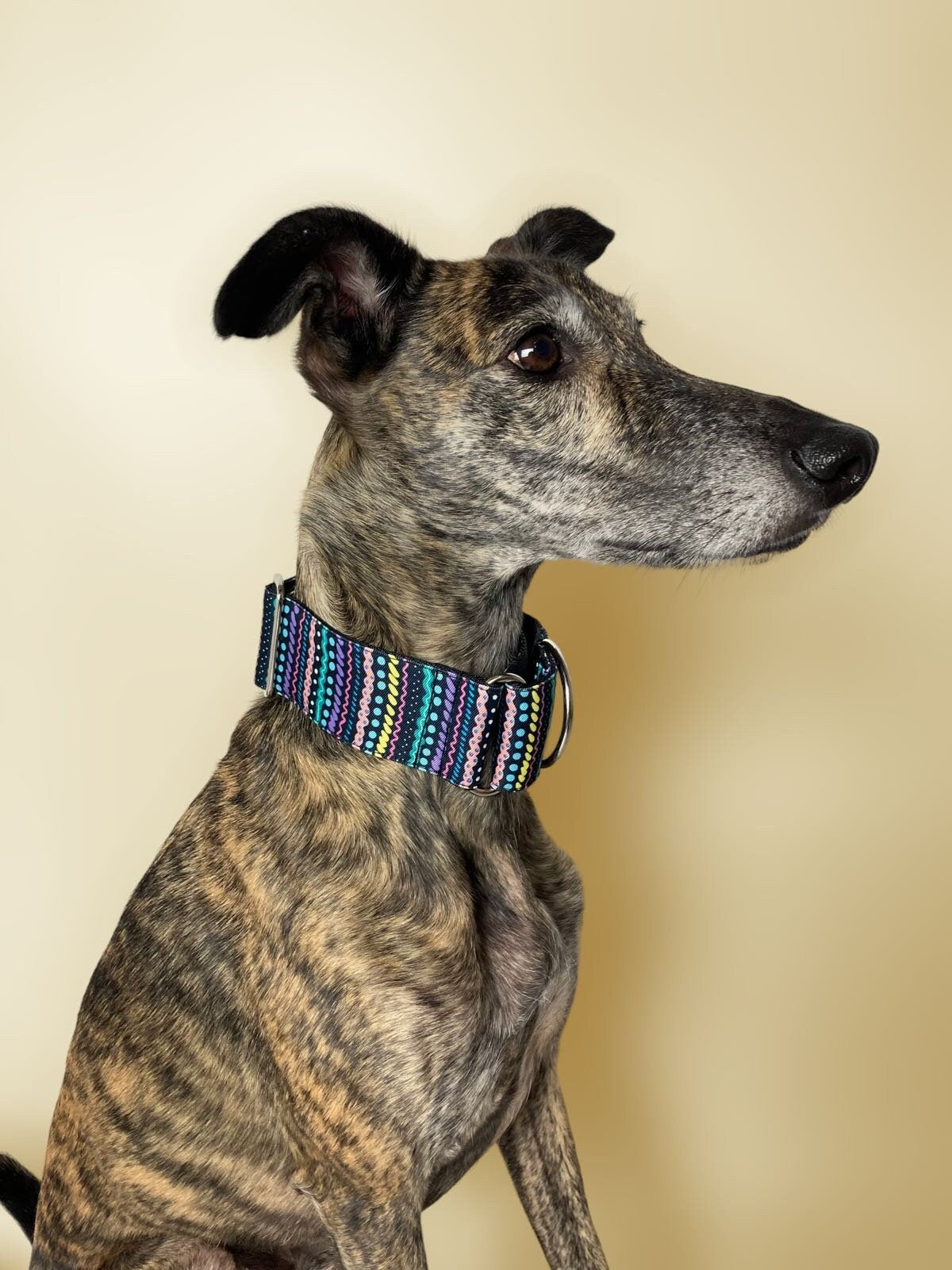 Collar Martingale Arcade