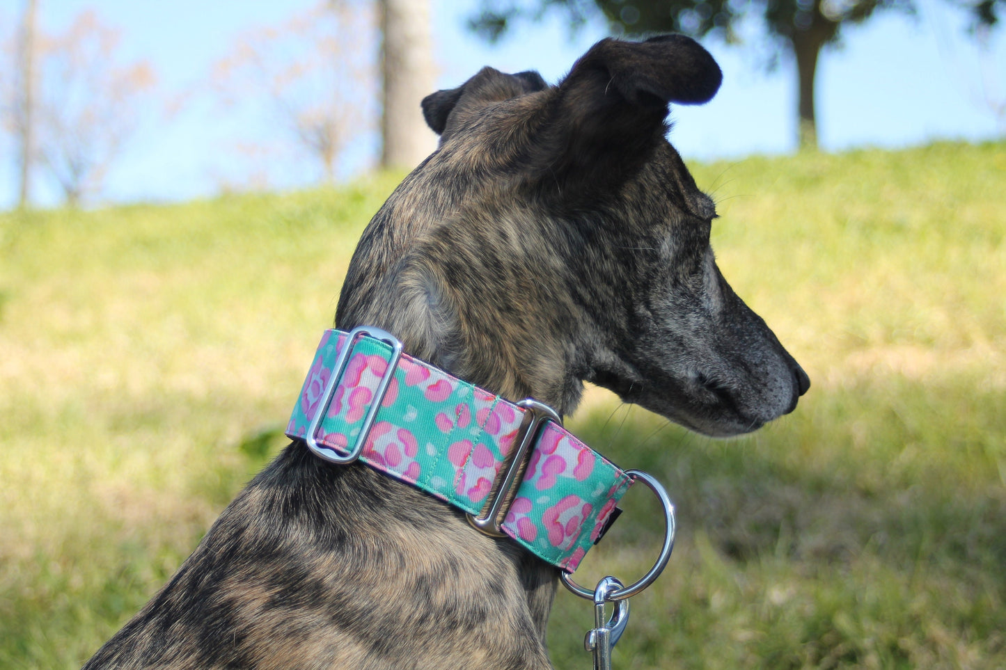 Collar Martingale Animal Pink