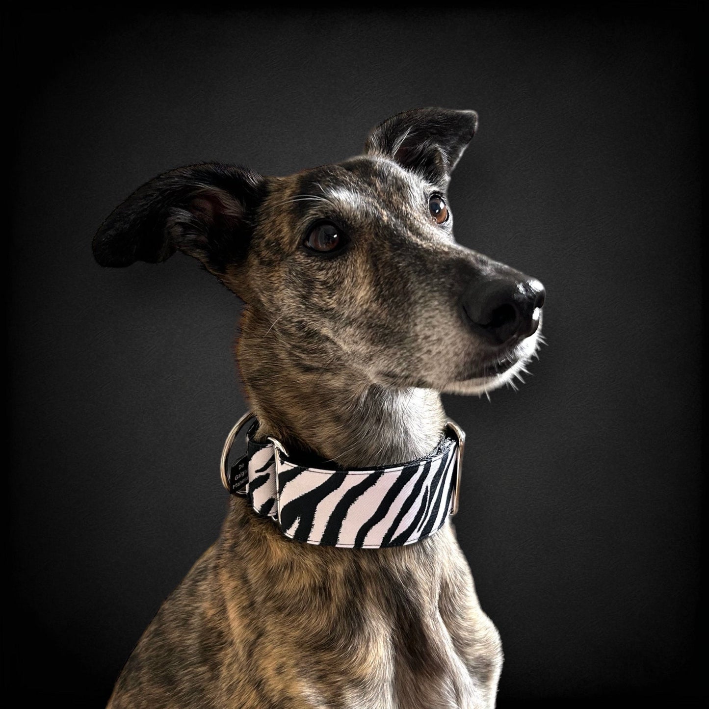 Collar Martingale Cebra