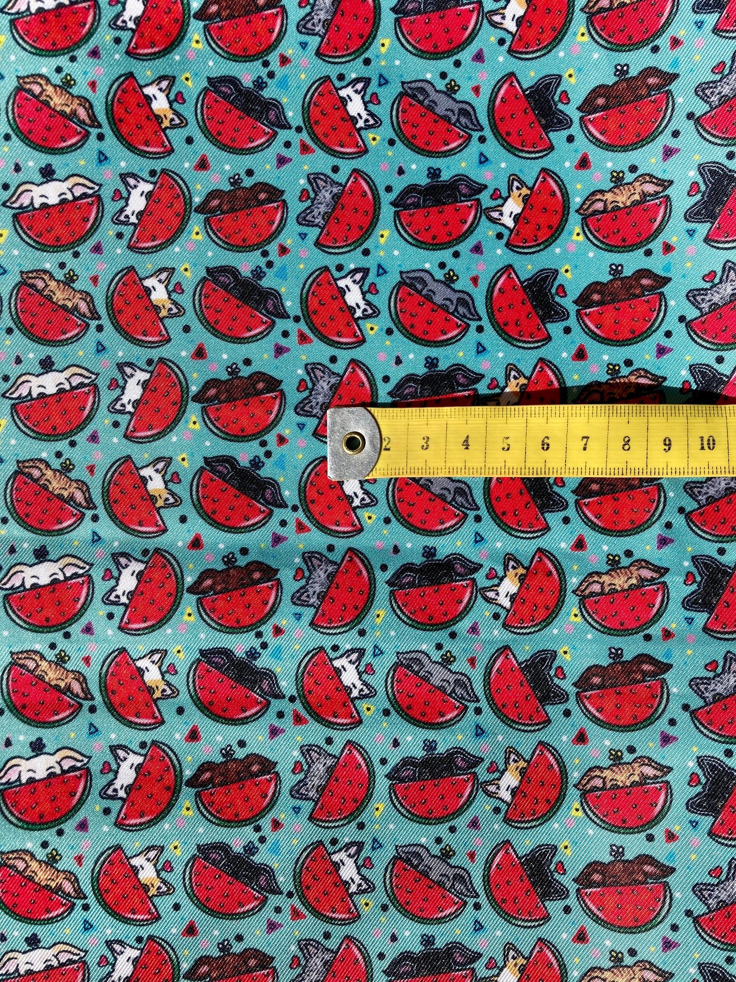 Arnés Antiescape Watermelon