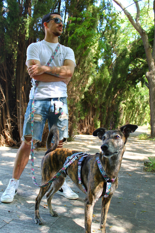 Correa Multiposición Flora