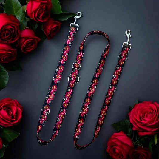 Correa Multiposición TEAP