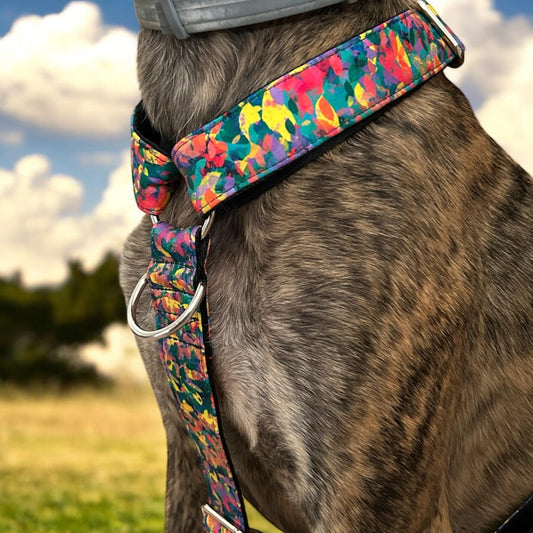 Anilla extra en el pecho para el arnés antiescape o arnés normal.